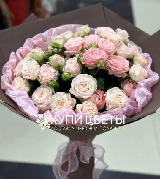 Утро Нежности