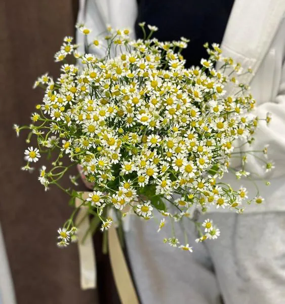 Букет из полевых ромашек