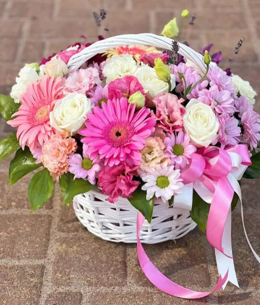 Сон принцессы