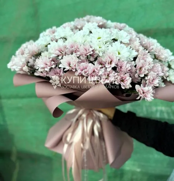 Шелковый Вечер