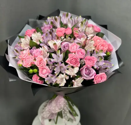 Гармония Цвета